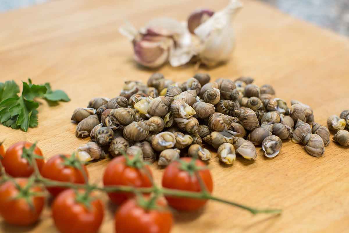 Maruzzelle, lumachine di mare con pomodoro