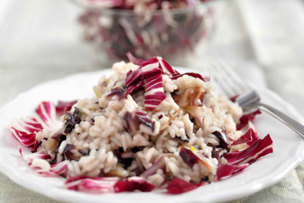 piatto con risotto radicchio e taleggio