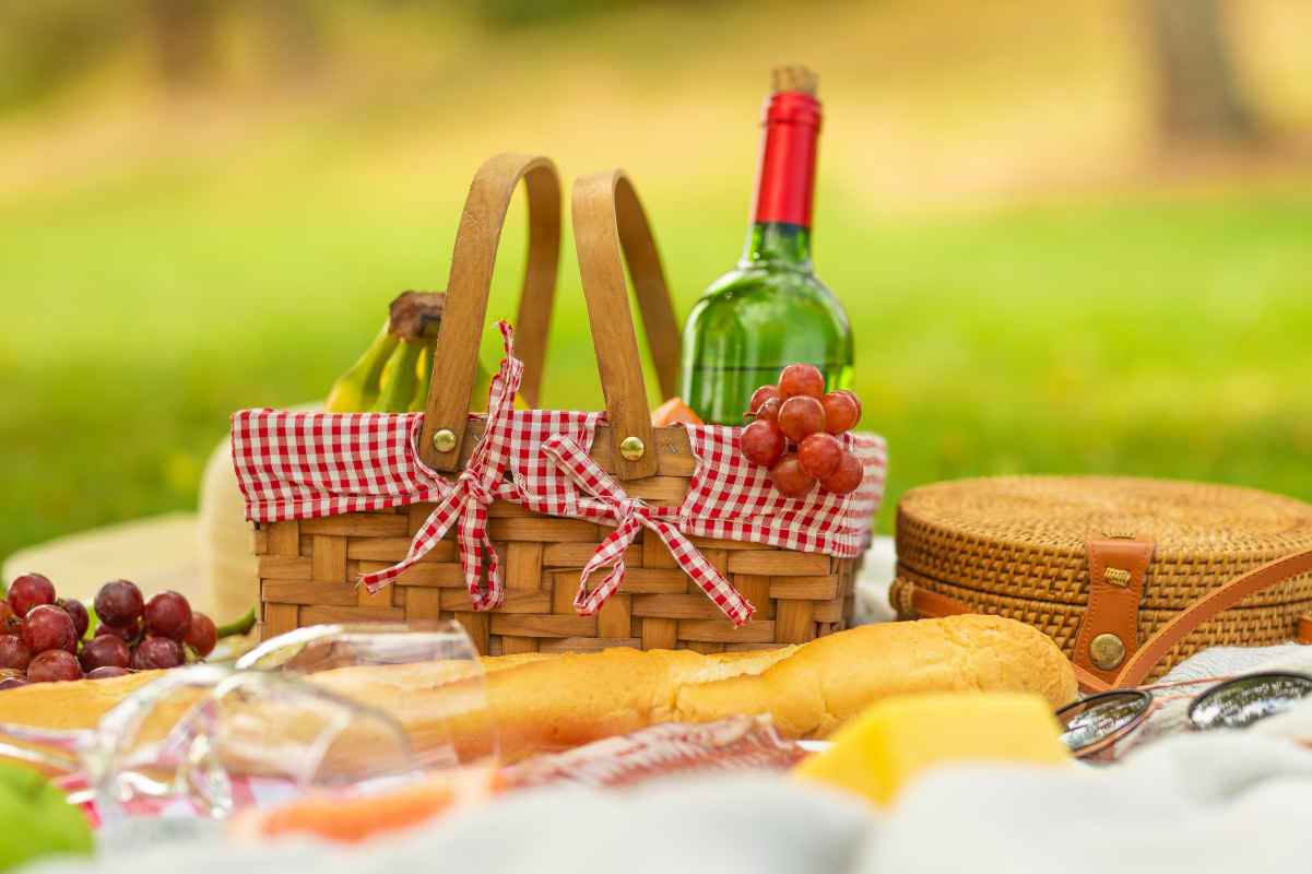 pranzo al sacco idee e ricette per il pic nic