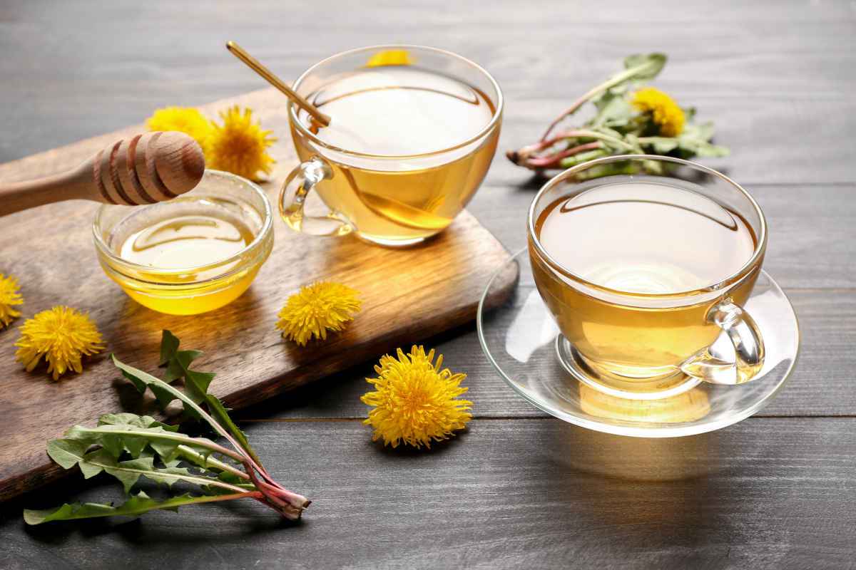 tazze con tisane al tarassaco in infusione