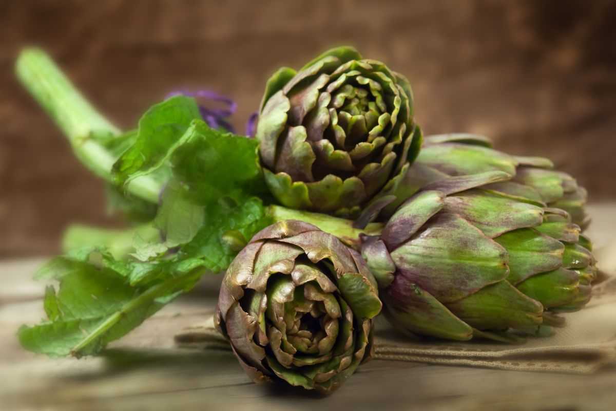 preparare carciofi alla romana