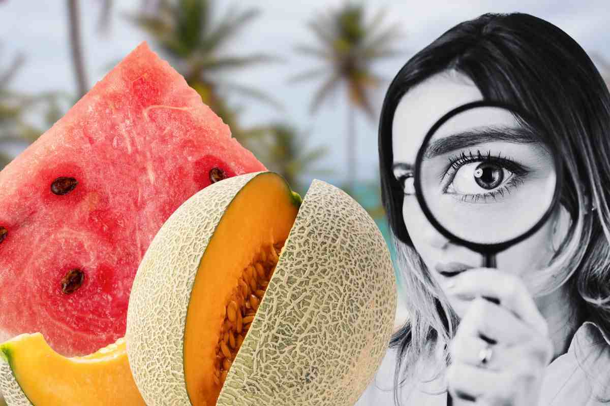 i tipi di melone