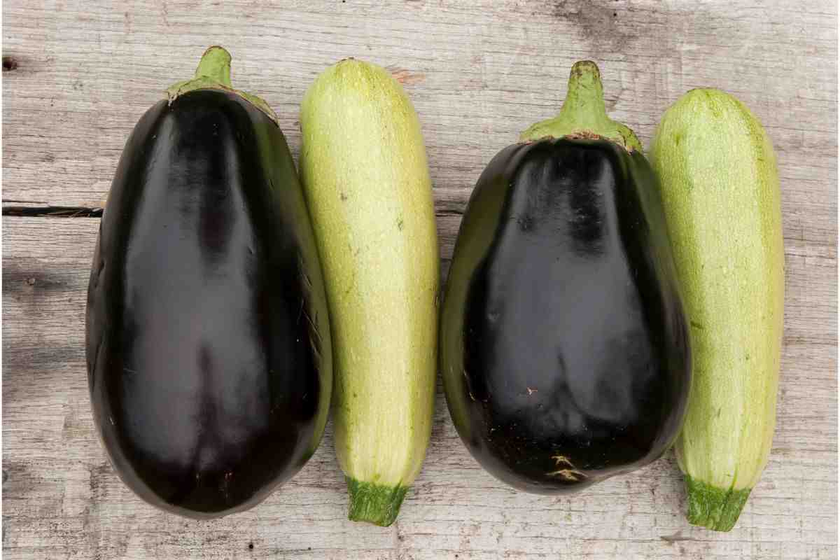 contorno melanzana zucchine