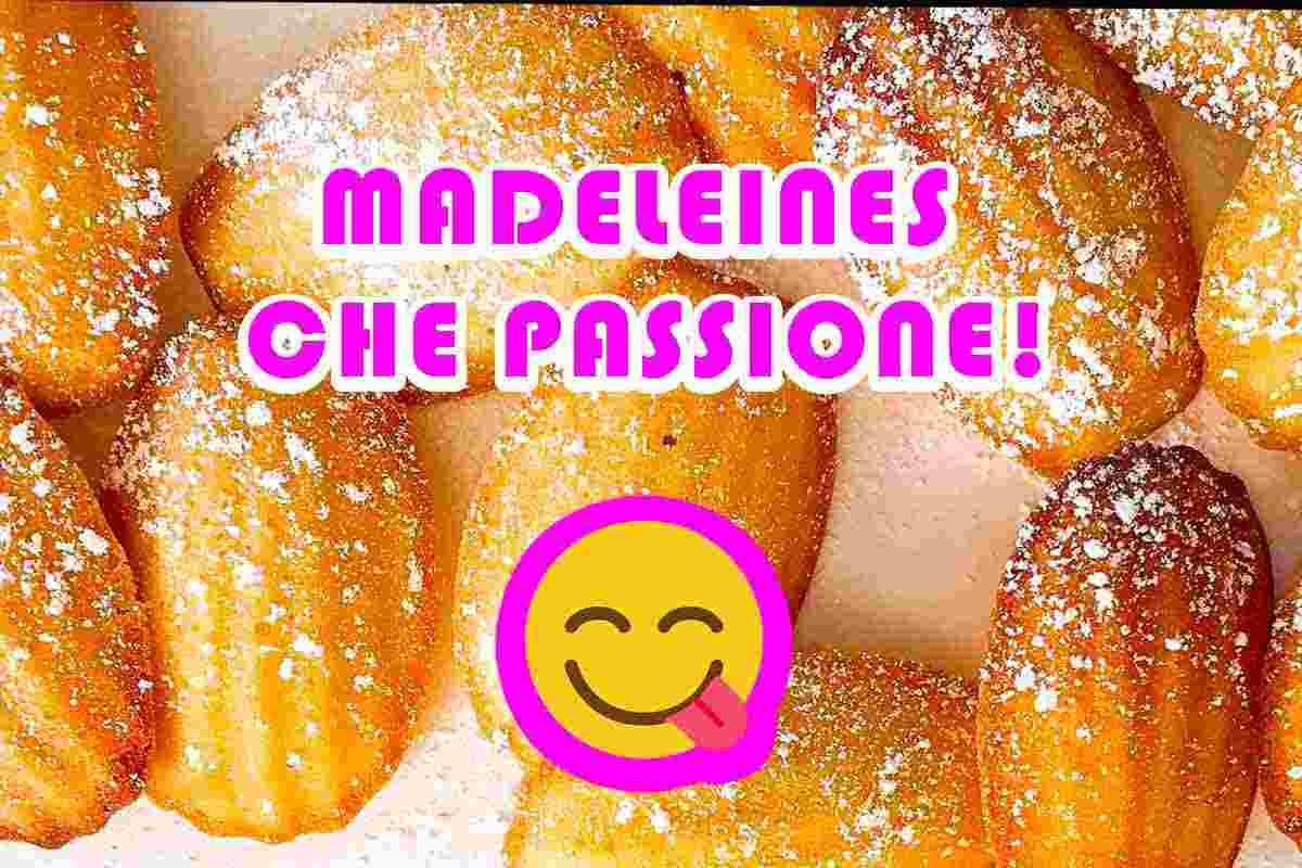 ricetta madeleines al limone