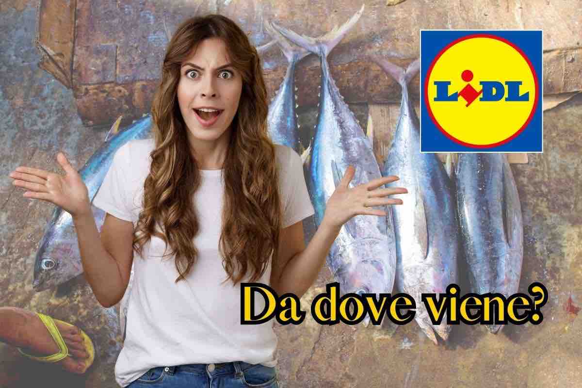 da dove viene pesce lidl