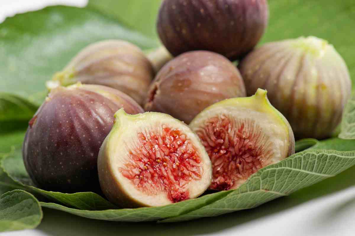 Fichi, il pericolo che nessuno conosce