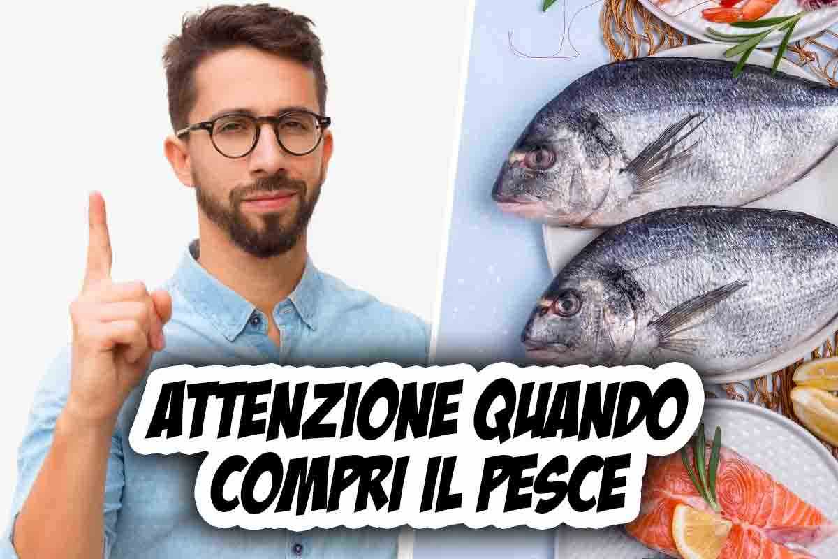 attenzione al pesce