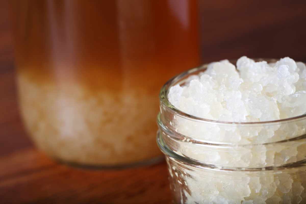 Kefir d'acqua proprietà ricetta