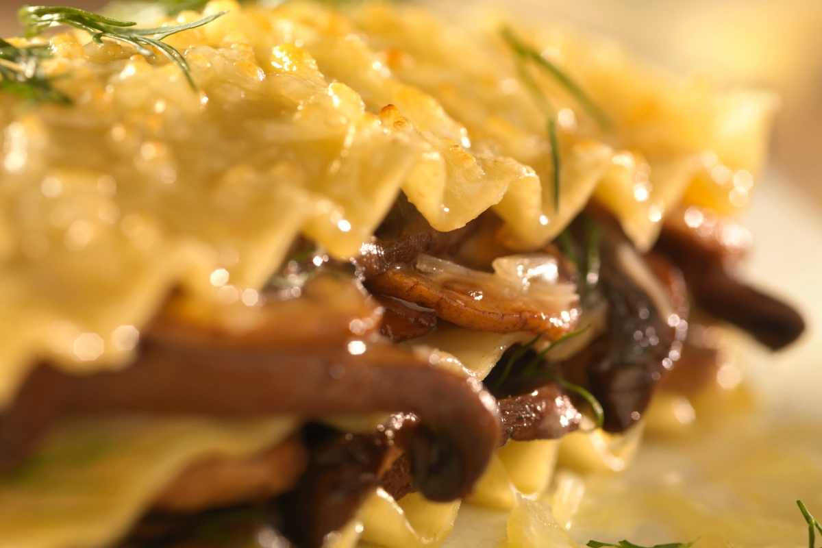 Lasagne porcini e salsiccia visti da molto vicino dopo la cottura eseguita con la ricetta classica