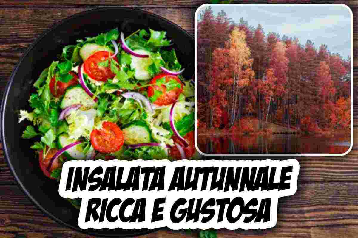 insalata autunnale, ricetta