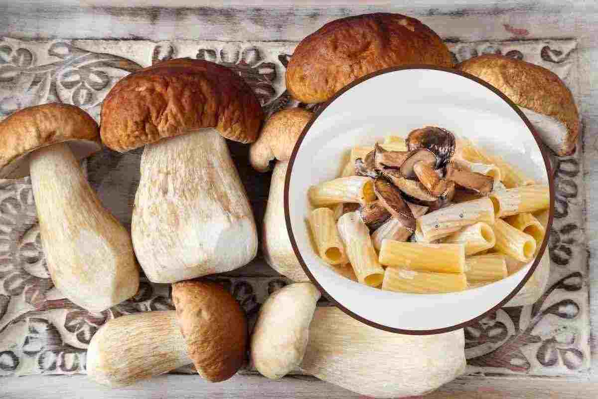 pasta cremosa ai fungi porcini ricetta