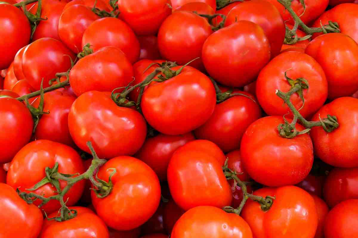 pomodori dove vanno conservati