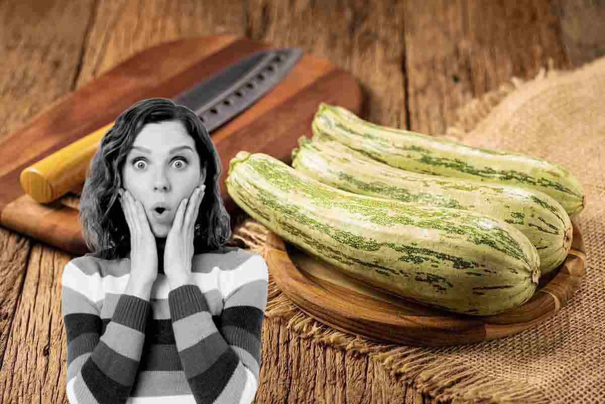 come riconoscere zucchine velenose