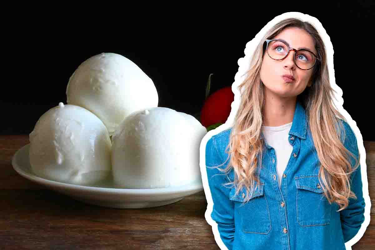 intolleranti al lattosio possono mangiare mozzarella