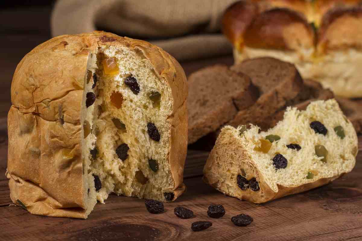 ricetta facile panettone