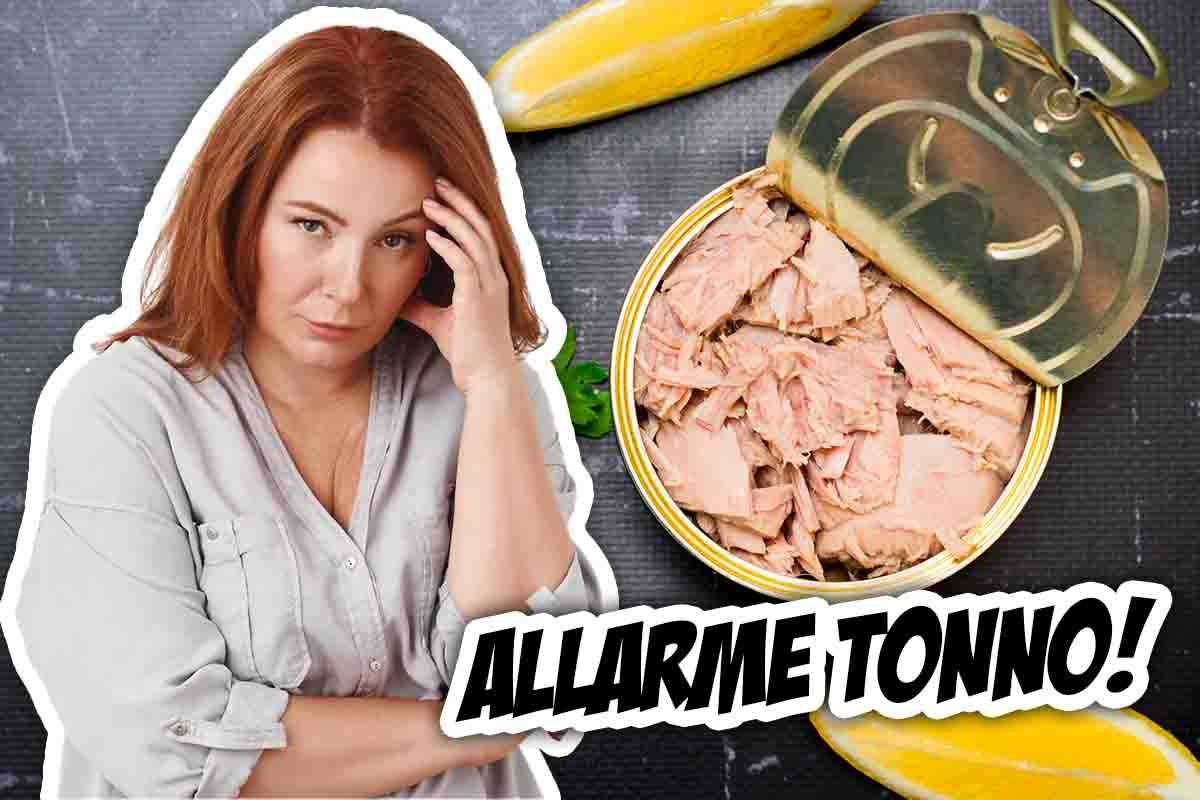 allerta alimentare tonno