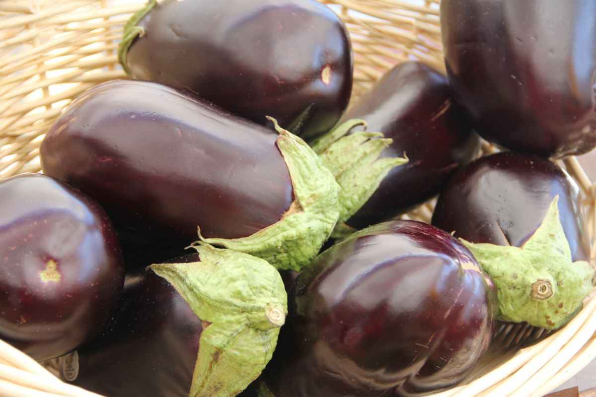 come cucinare melanzane senza frittura