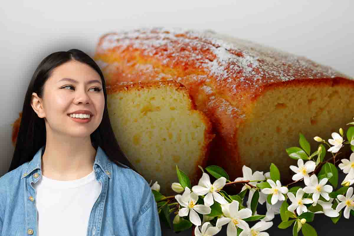 ricetta plumcake morbidissimo