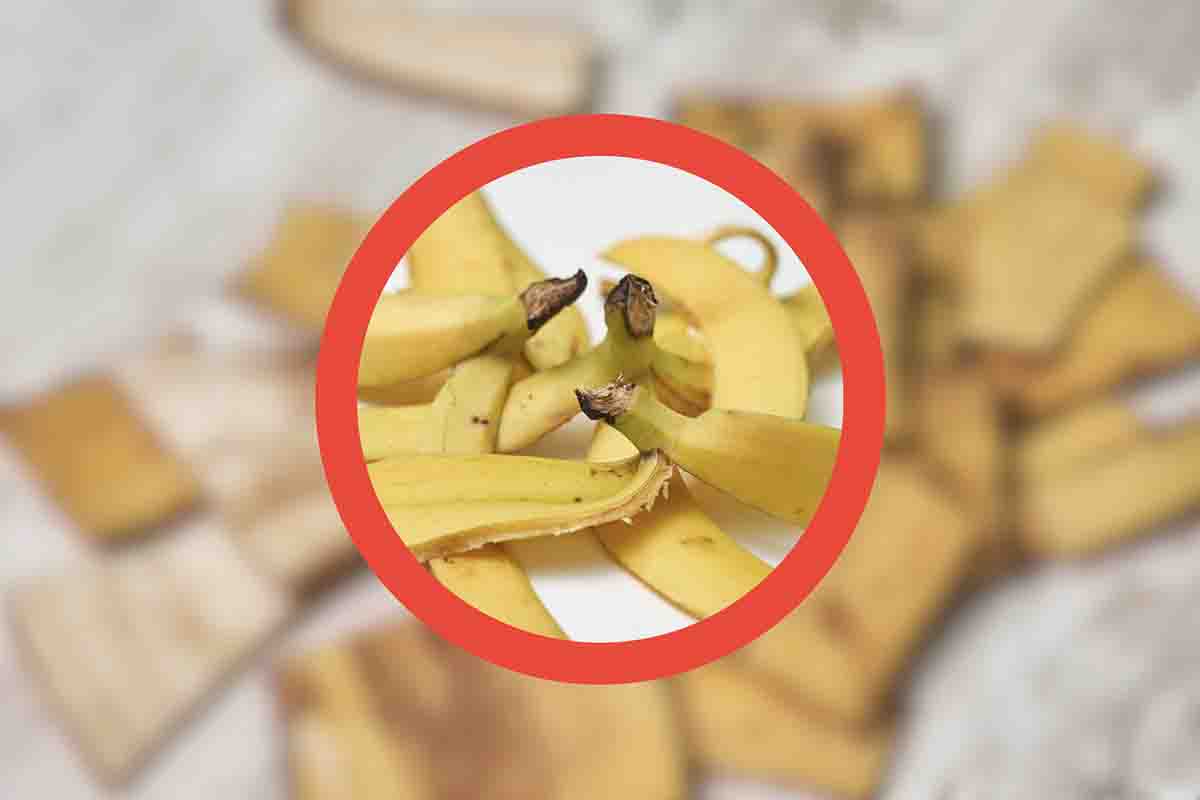 come riciclare bucce di banana