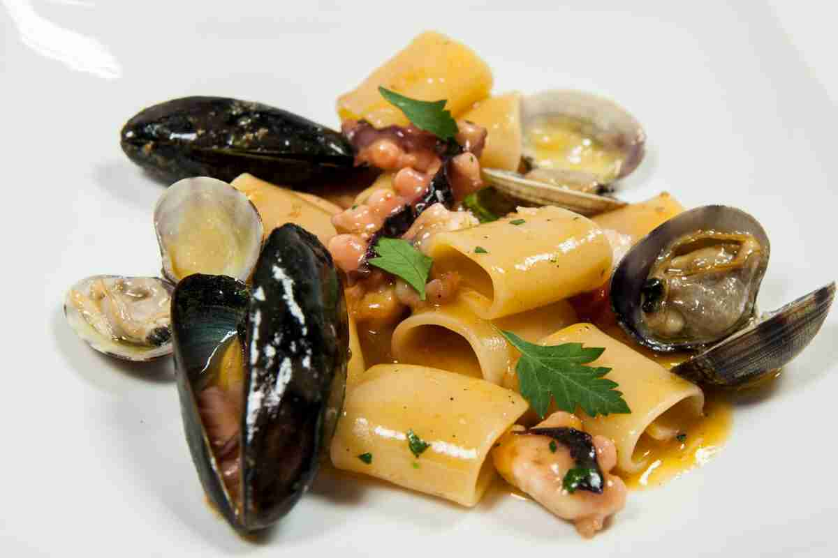 Paccheri con frutti di mare in un piatto bianco