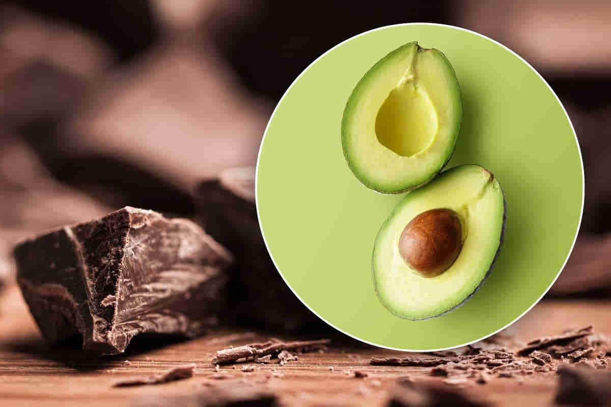 cubi di cioccolato e avocado ricetta