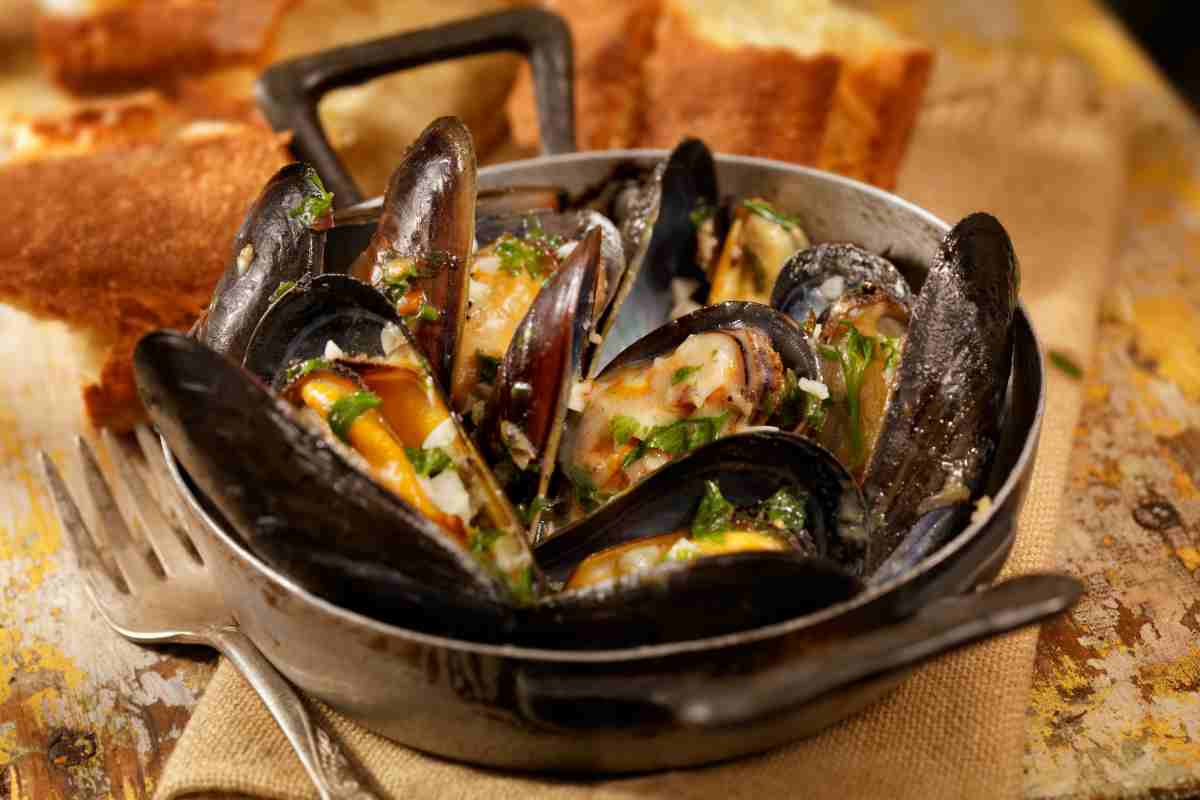 Come riconoscere le cozze buone e grandi come queste