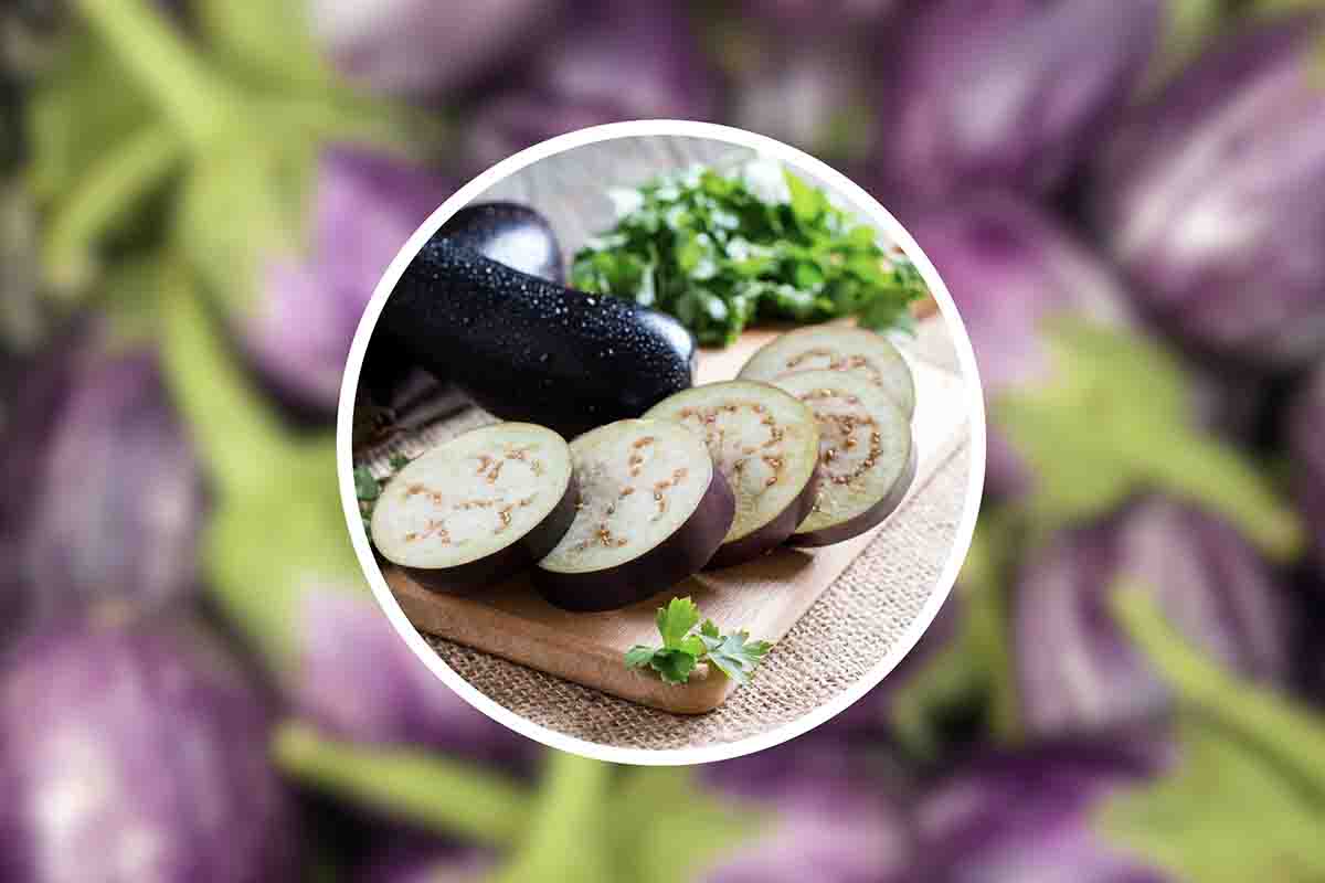 timballo con melanzane