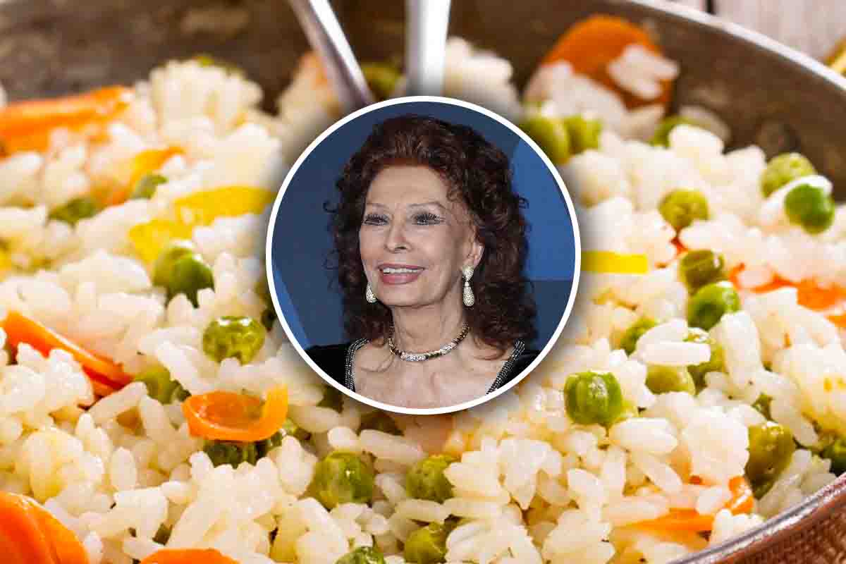 insalata riso ricetta sophia loren