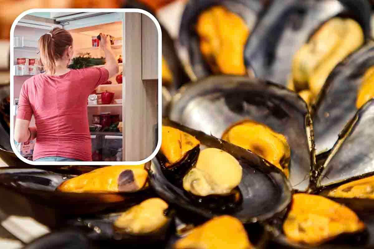 come conservare cozze in frigo o freezer