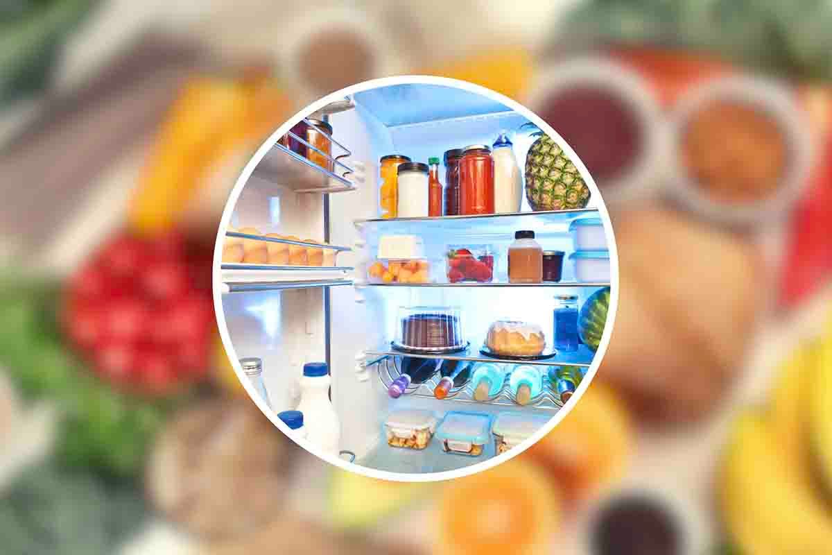 quanto durano i cibi in frigo