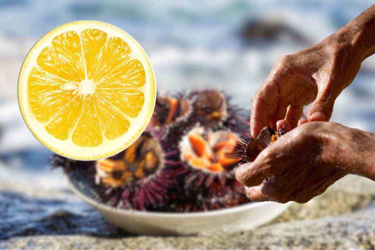 è vero che limone disinfetta frutti di mare