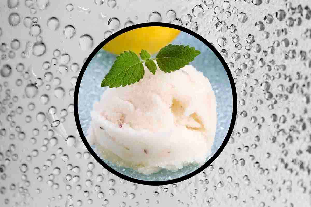 ricetta del sorbetto frizzante