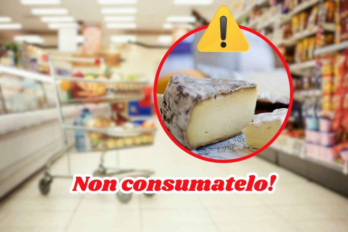 allerta alimentare formaggio