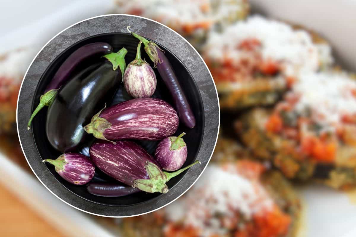 sformato di melanzane ricetta