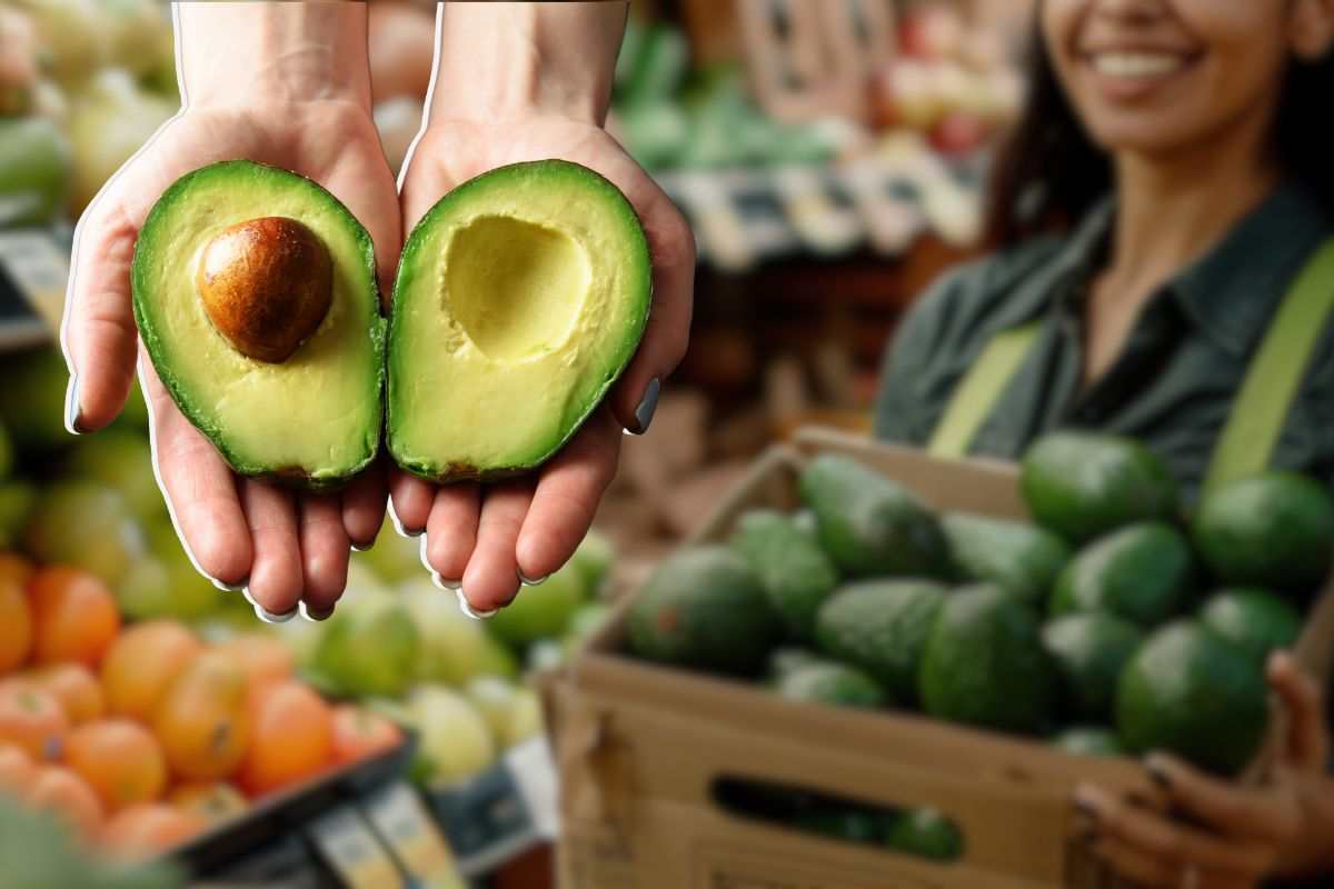 come scegliere avocado maturo