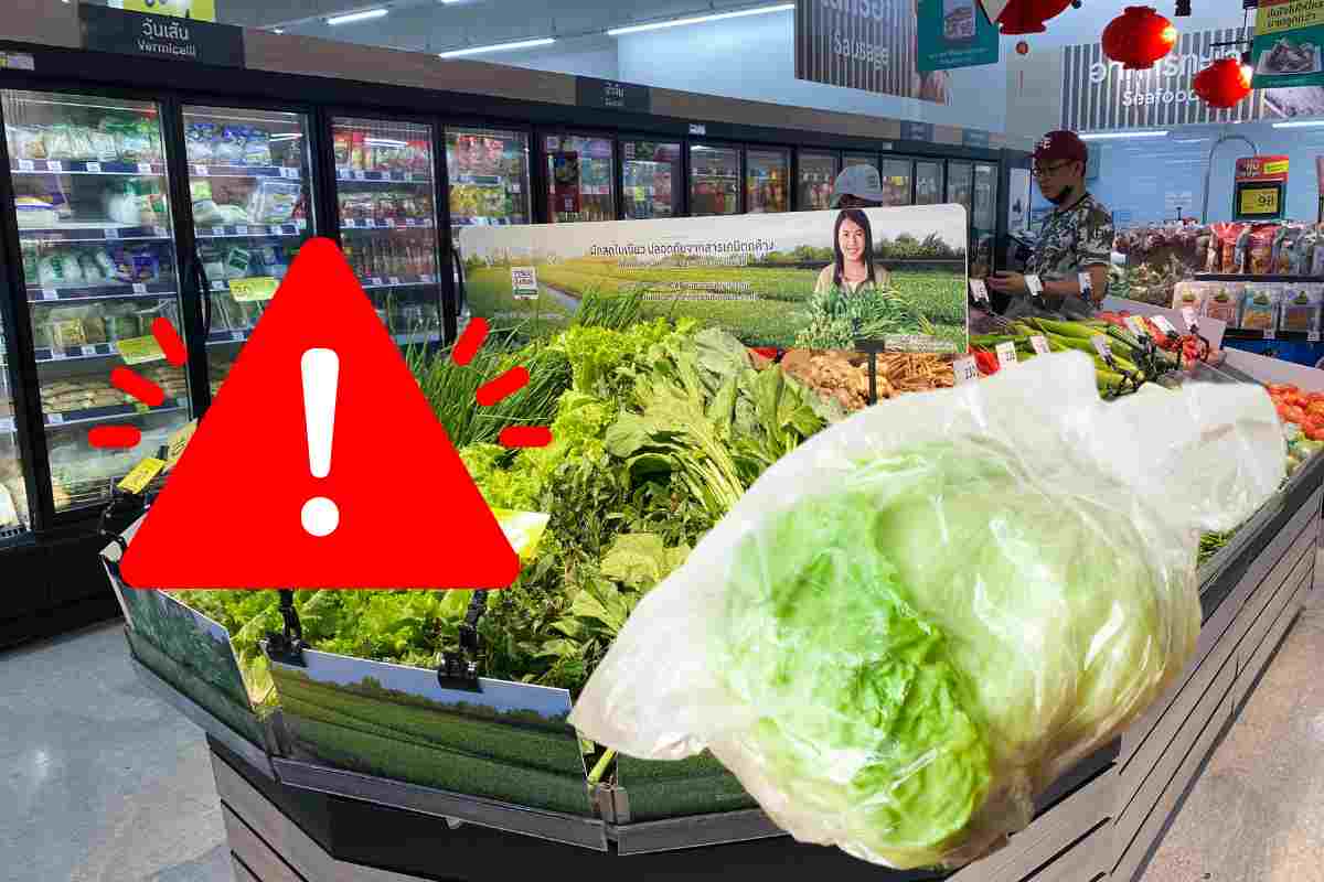 Quali sono le marche di insalata iceberg richiamate per Listeria