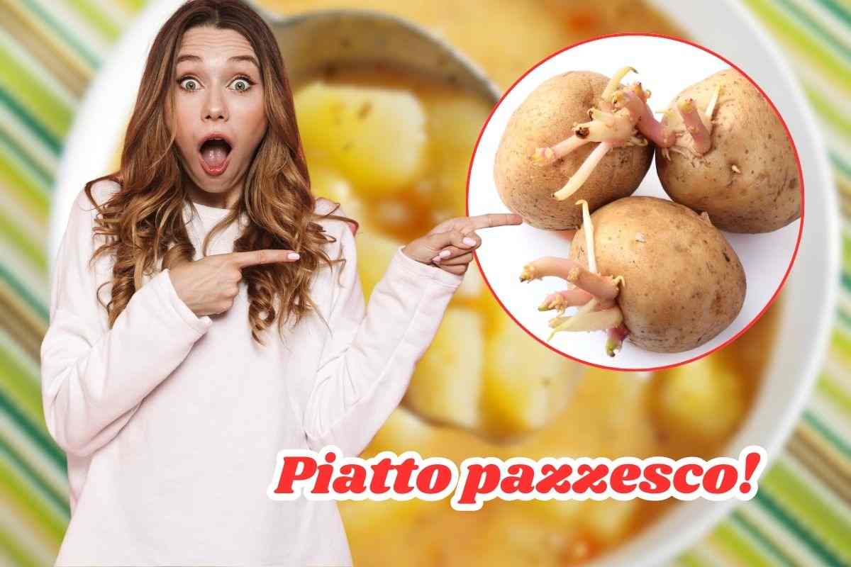 piatto unico con patate