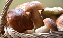 ricetta funghi alla francese